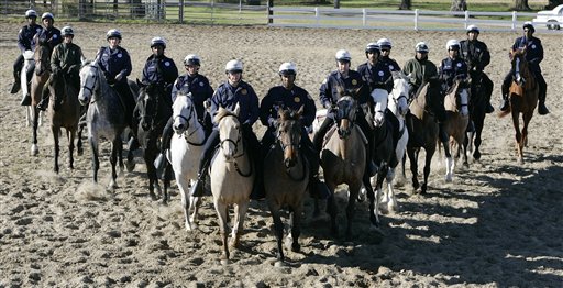 Horses Laid Off as Cop Budgets Trimmed