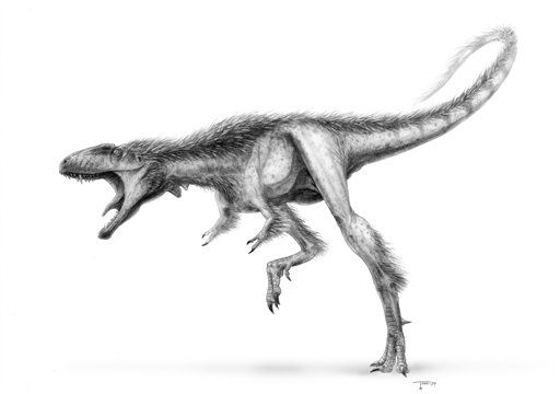 Pint-Size T-Rex Surprises Scientists