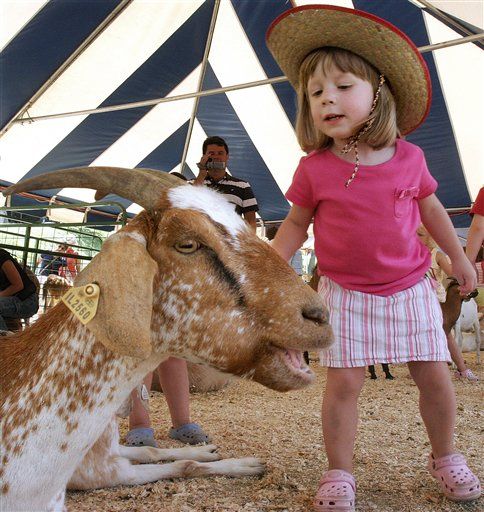 UK Petting Zoos Skittish After E. Coli Outbreak