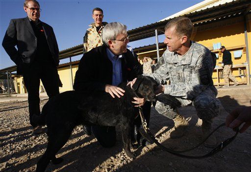 MIA Dog A-OK After Year in Afghanistan