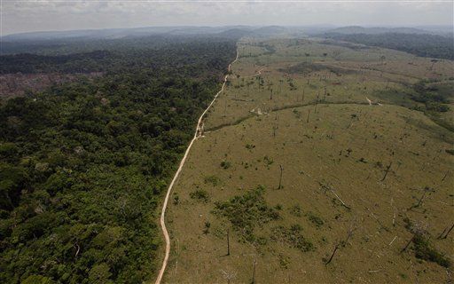Deforestation Reveals Signs of 'El Dorado'