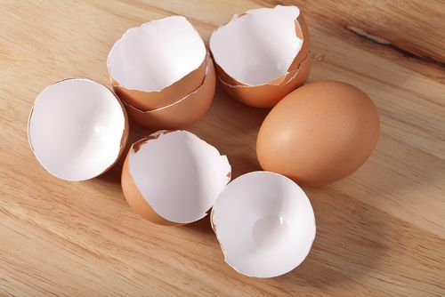 Women Lose Most Eggs by 30