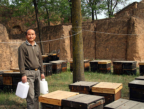 Safer Farms Sting Chinese Beekeepers