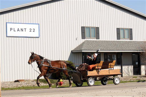 Buggy-Driving Amish Teen Tries to Flee Police