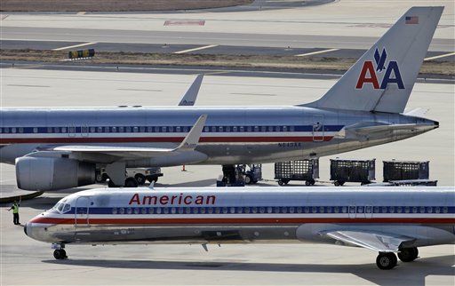 7 Puppies Dead After American Airlines Flight