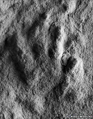 Cat-Size Print Find Pushes Dino Birth Back 9M Years