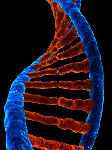 Easy DNA Tests Raise Hopes on Colon Cancer