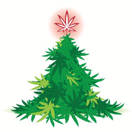Cops Seize Marijuana Xmas Tree