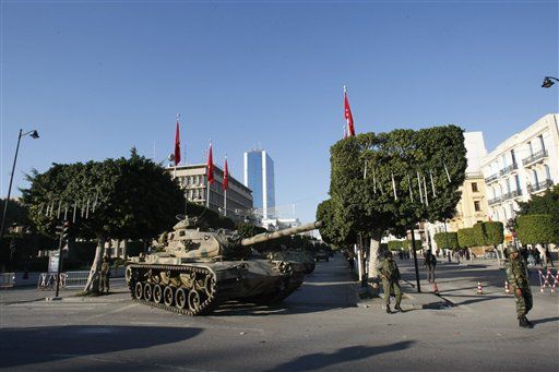US: WikiLeaks Cables Not the Cause of Tunisia Uprising