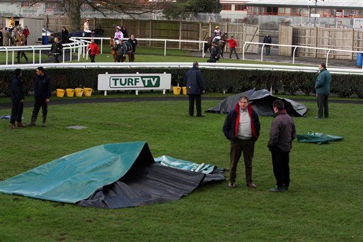 Horses Electrocuted in Racecourse Tragedy