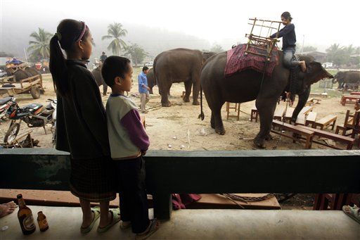 In Laos, Bringing Books to Children—Via Elephant