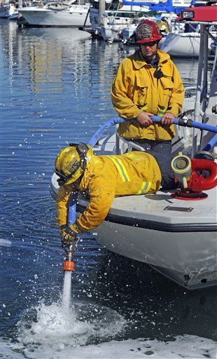 30 Tons of Dead Sardines Still in California Harbor