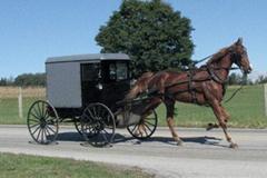 Amish Racer Has Accident