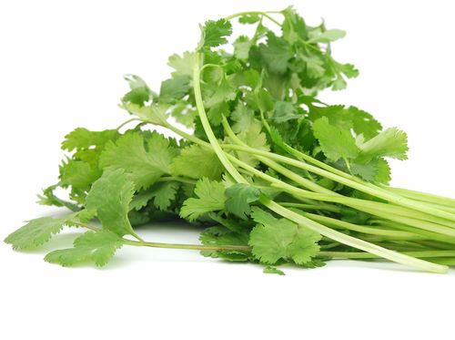 USDA Finds Unusually Large Amount of Unapproved Pesticides in Cilantro