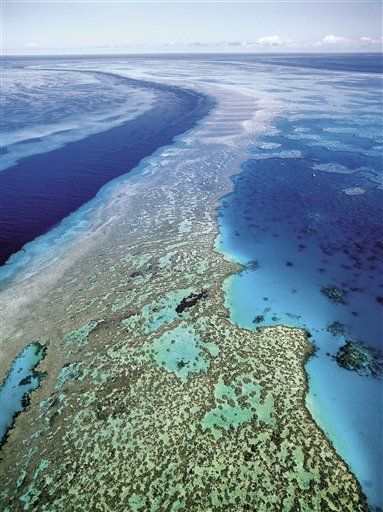 Tour Boat Ditches US Tourist on Great Barrier Reef