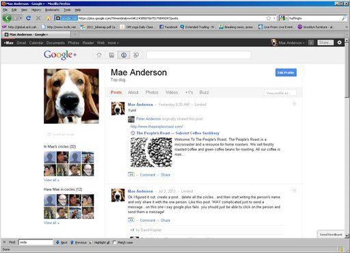 Google+ Could Be 'Education Game Changer'