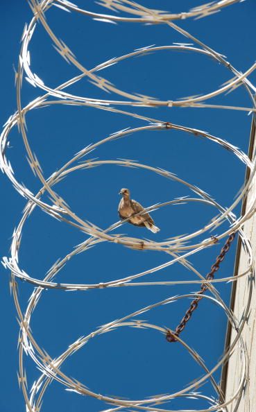 Arizona Charges $25 to Visit Prisoners