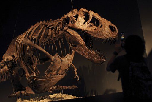 T-Rex Was More Massive Than We Thought