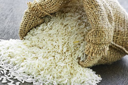 Chinese Scientists Extract Valuable HSA Protein From Rice