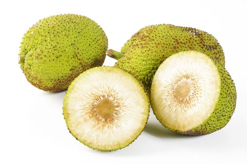 Is Boring Breadfruit Our 'Food of the Future'?
