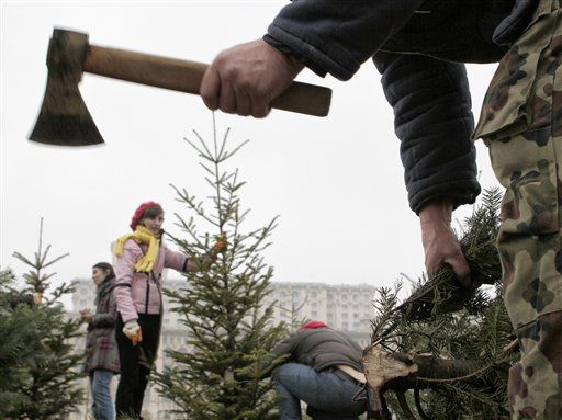 White House Backs Off Christmas Tree 'Tax'