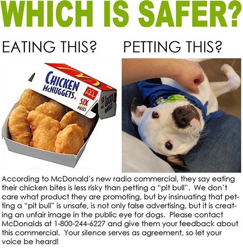 Pit Bull Owners Savage McDonald's Ad
