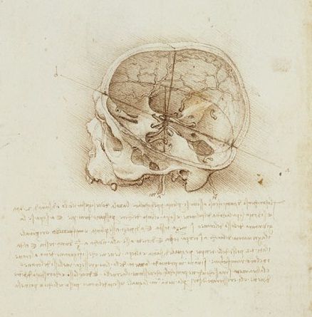 On Da Vinci's To-Do List: 'Find Human Skull'