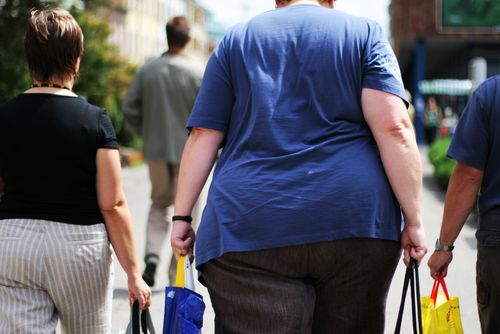 Obesity as Bad for Planet as Overpopulation