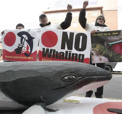 South Korea Plans to Resume Whale Hunt
