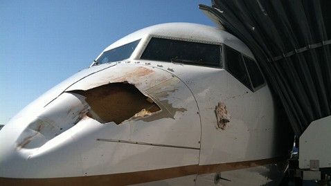Bird Strike Rips Hole in Plane