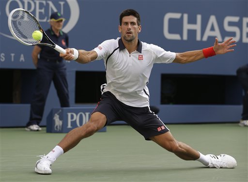 Djokovic Beats Ferrer, Heads for Final