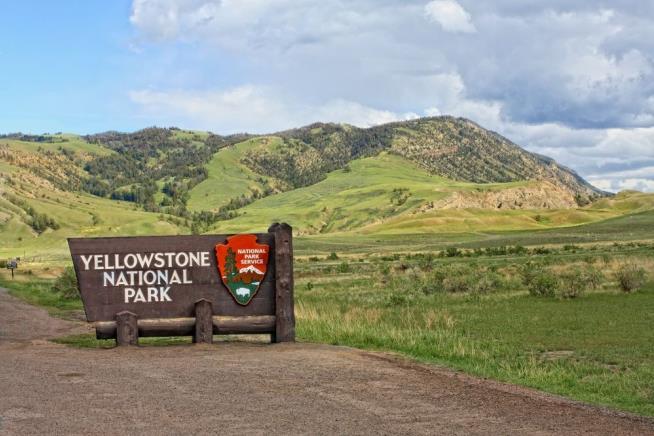 Girl, 3, Shot Dead in Yellowstone