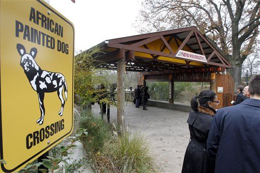 Boy's Mauling Death Is Mom's Fault: Zoo