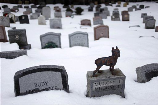 In New York, Pet Owners Can Now Be Buried With Pets