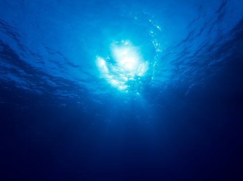 Wireless Internet's New Home: Underwater?