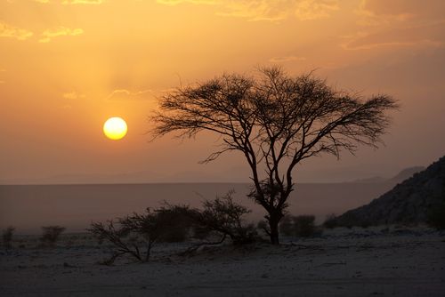 Dozens Die of Thirst After Desert Stranding