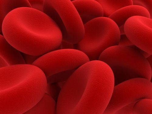 Transylvania Scientist: I've Made Blood