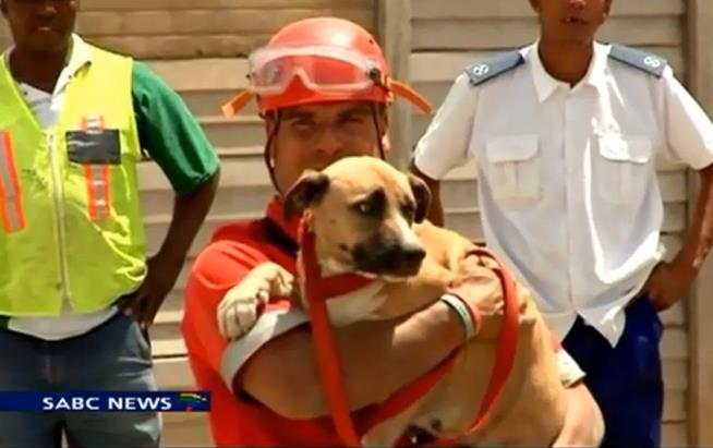 'Underdog Rescued From Giant Hole