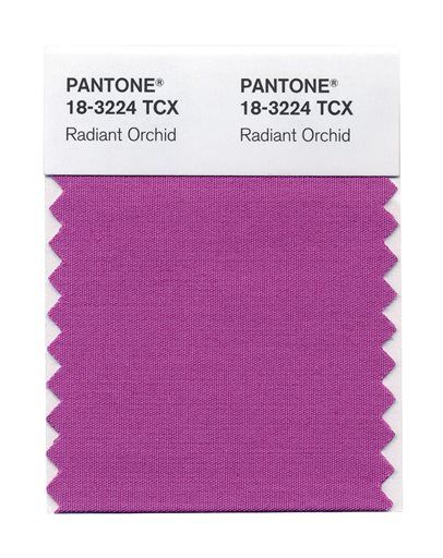 2014's Color of Year: 'Radiant Orchid'