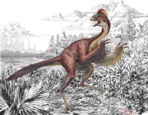 New Dinosaur Was 'Chicken From Hell'