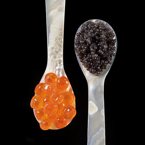 Biologist Has Found Way to Make Caviar Cheap