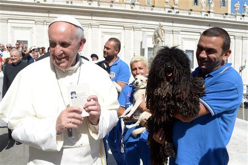 Pope to Couples: Have Kids, Not Pets