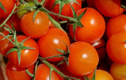 Tomatoes as Car Parts? Heinz, Ford Team Up
