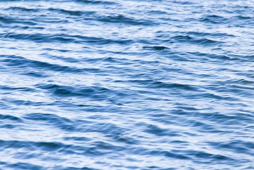 Couple Falls Overboard, Treads Water for 14 Hours
