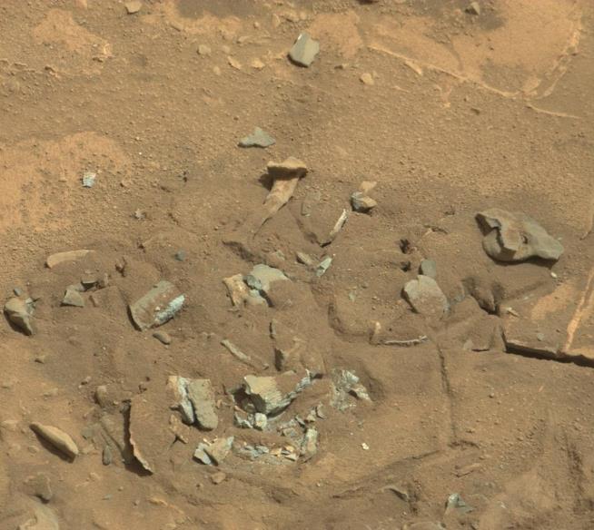 Mysterious Mars Find Looks Like a Bone