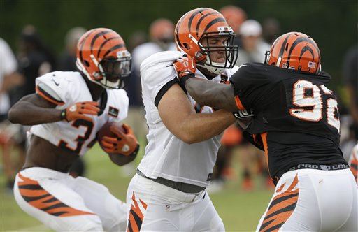 Bengals Help Player Afford Kid's Cancer Treatment