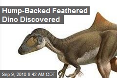 Hump-Backed Feathered Dino Discovered