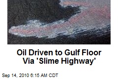 Oil Driven to Gulf Floor Via 'Slime Highway'