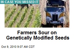 Farmers Souring on Genetically-Modified Seeds