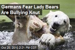 Germans Fear Lady Bears Are Bullying Knut